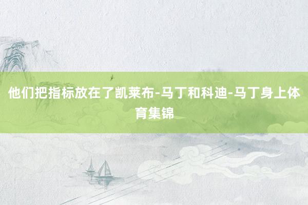 他们把指标放在了凯莱布-马丁和科迪-马丁身上体育集锦