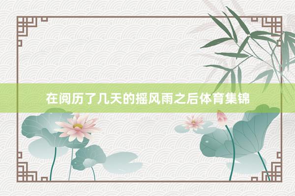 在阅历了几天的摇风雨之后体育集锦