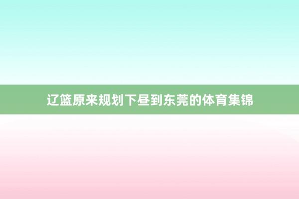 辽篮原来规划下昼到东莞的体育集锦