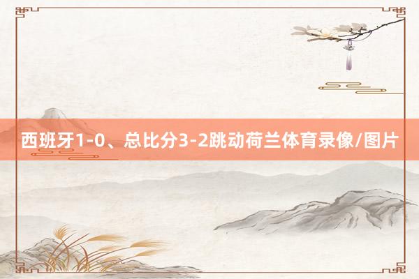 西班牙1-0、总比分3-2跳动荷兰体育录像/图片