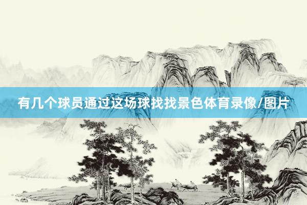 有几个球员通过这场球找找景色体育录像/图片