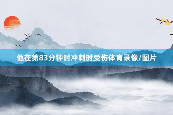 他在第83分钟时冲刺时受伤体育录像/图片