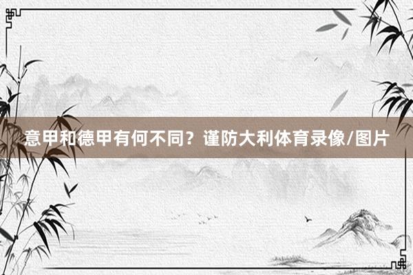 意甲和德甲有何不同？谨防大利体育录像/图片