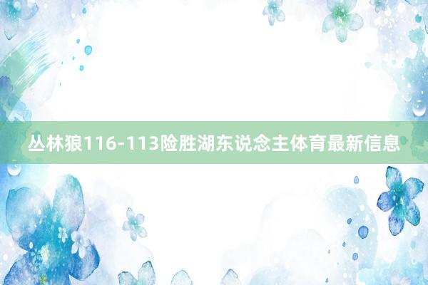 丛林狼116-113险胜湖东说念主体育最新信息