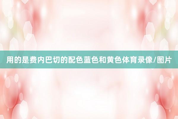 用的是费内巴切的配色蓝色和黄色体育录像/图片