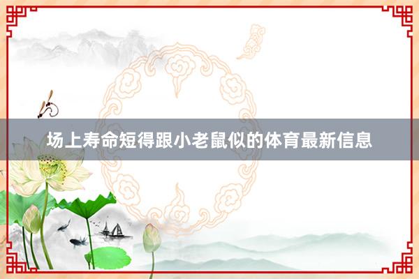 场上寿命短得跟小老鼠似的体育最新信息