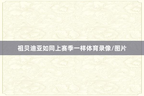 祖贝迪亚如同上赛季一样体育录像/图片