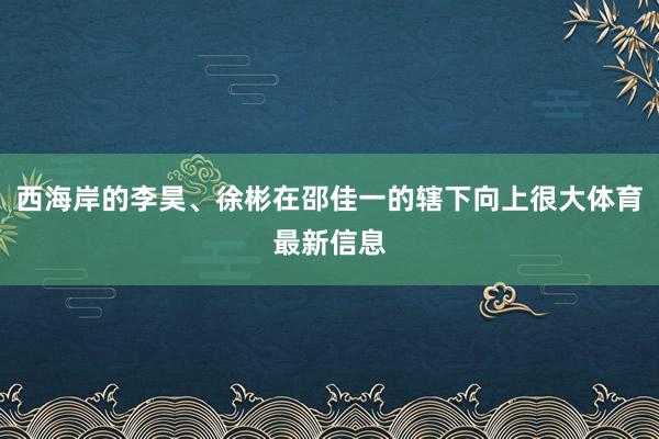 西海岸的李昊、徐彬在邵佳一的辖下向上很大体育最新信息