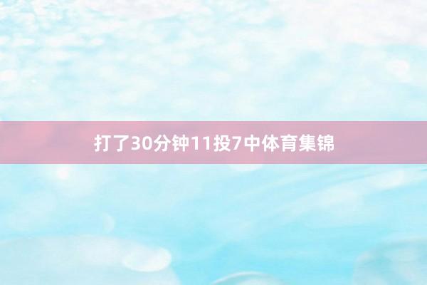 打了30分钟11投7中体育集锦