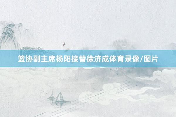 篮协副主席杨阳接替徐济成体育录像/图片