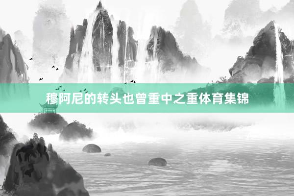 穆阿尼的转头也曾重中之重体育集锦