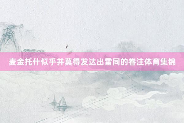 麦金托什似乎并莫得发达出雷同的眷注体育集锦