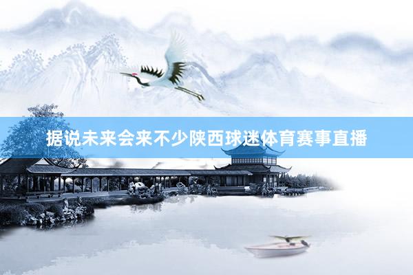 据说未来会来不少陕西球迷体育赛事直播