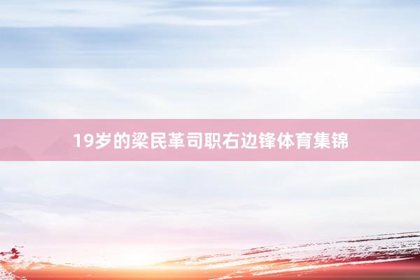 19岁的梁民革司职右边锋体育集锦