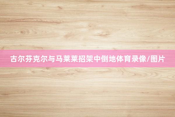 古尔芬克尔与马莱莱招架中倒地体育录像/图片