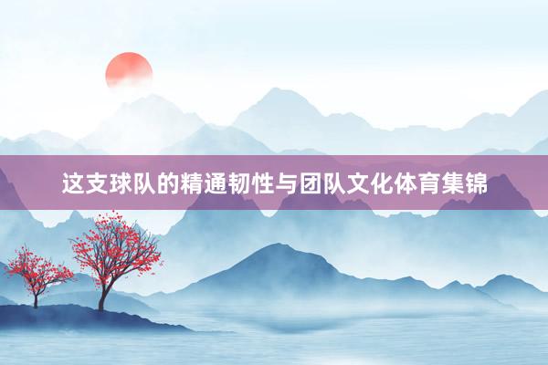 这支球队的精通韧性与团队文化体育集锦