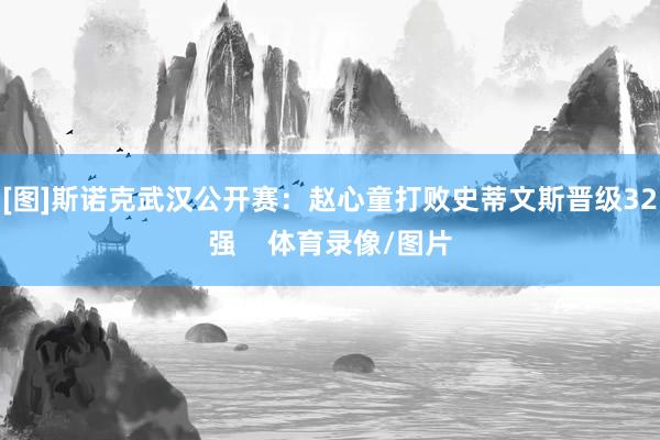 [图]斯诺克武汉公开赛：赵心童打败史蒂文斯晋级32强    体育录像/图片