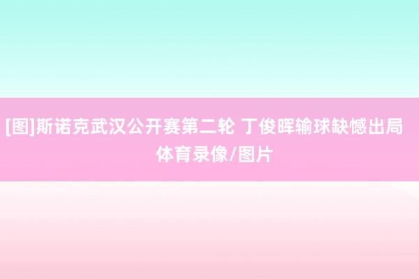 [图]斯诺克武汉公开赛第二轮 丁俊晖输球缺憾出局    体育录像/图片