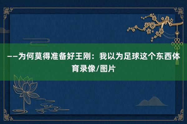 ——为何莫得准备好王刚：我以为足球这个东西体育录像/图片