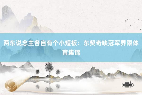 两东说念主各自有个小短板：东契奇缺冠军界限体育集锦