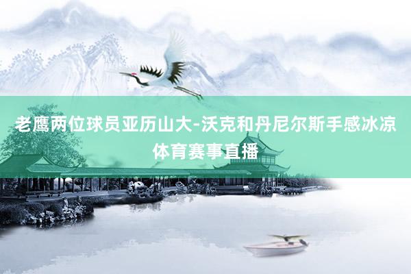 老鹰两位球员亚历山大-沃克和丹尼尔斯手感冰凉体育赛事直播