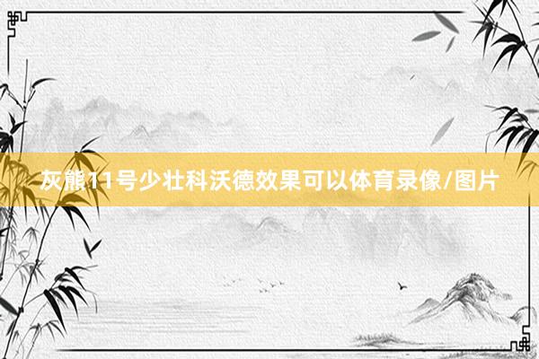 灰熊11号少壮科沃德效果可以体育录像/图片