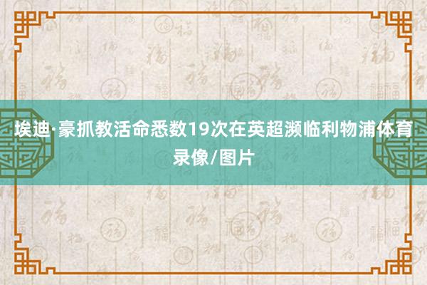 埃迪·豪抓教活命悉数19次在英超濒临利物浦体育录像/图片