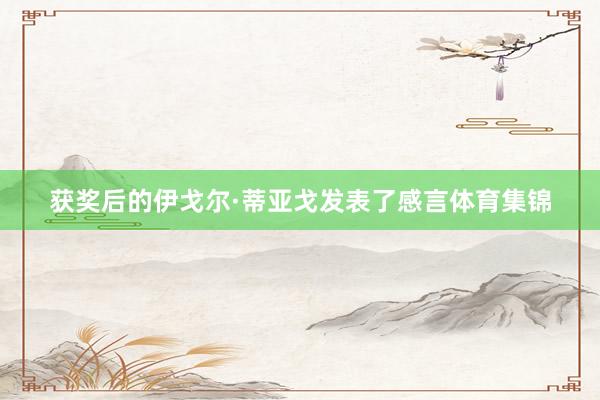 获奖后的伊戈尔·蒂亚戈发表了感言体育集锦