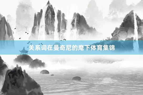 关系词在曼奇尼的麾下体育集锦