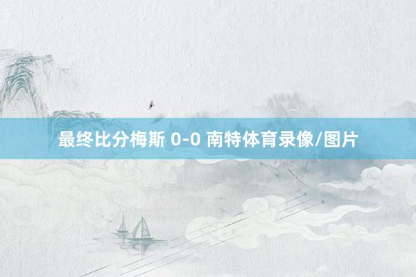 最终比分梅斯 0-0 南特体育录像/图片