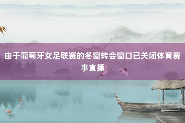 由于葡萄牙女足联赛的冬窗转会窗口已关闭体育赛事直播