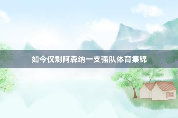如今仅剩阿森纳一支强队体育集锦