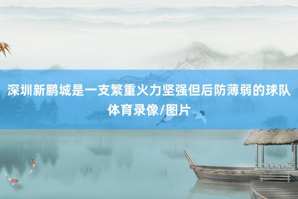 深圳新鹏城是一支繁重火力坚强但后防薄弱的球队体育录像/图片