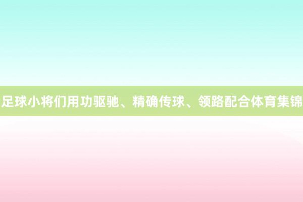 足球小将们用功驱驰、精确传球、领路配合体育集锦