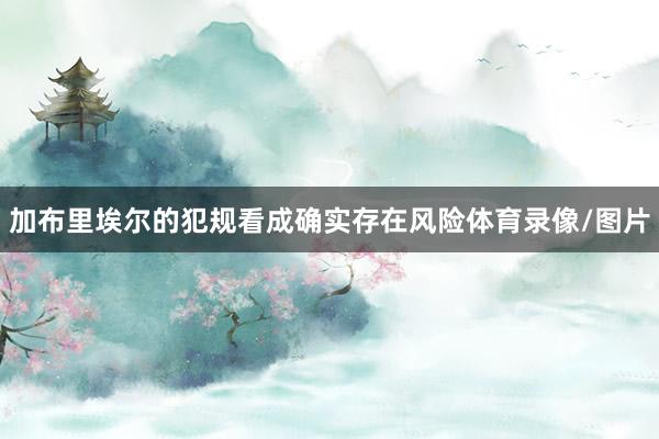 加布里埃尔的犯规看成确实存在风险体育录像/图片