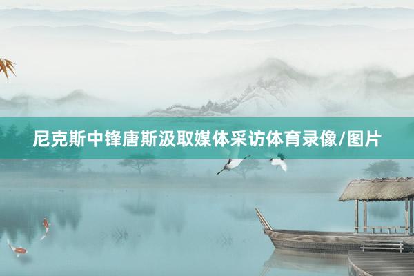 尼克斯中锋唐斯汲取媒体采访体育录像/图片