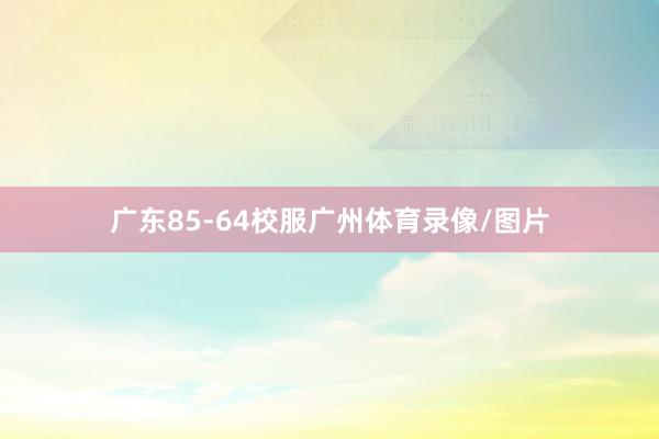 广东85-64校服广州体育录像/图片