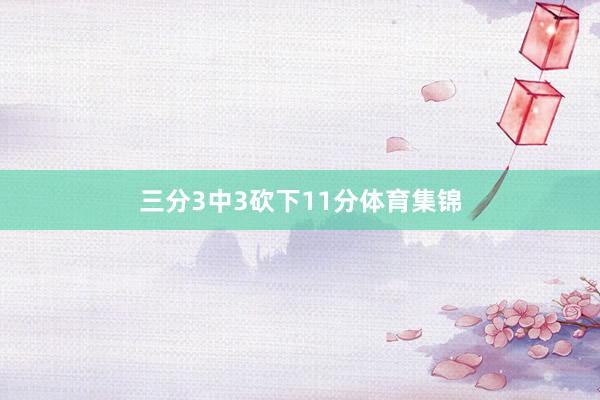 三分3中3砍下11分体育集锦