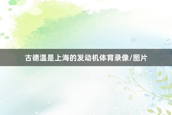 古德温是上海的发动机体育录像/图片